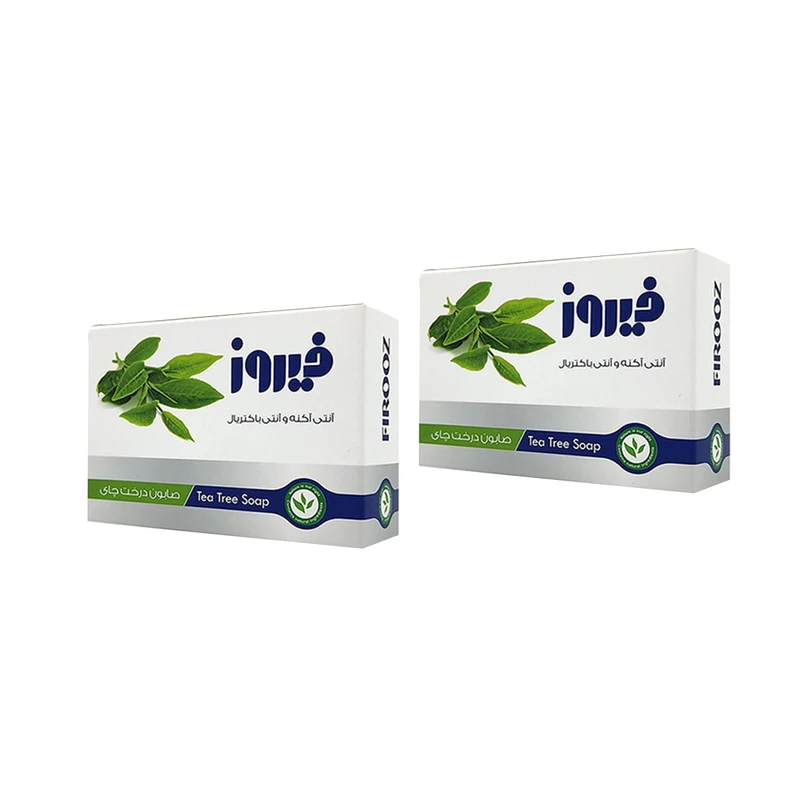 صابون شستشو فیروز مدل تی تری وزن 120 گرم مجموعه 2 عددی