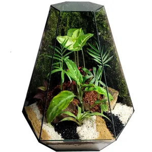 تراریوم ترارتوس مدل 04