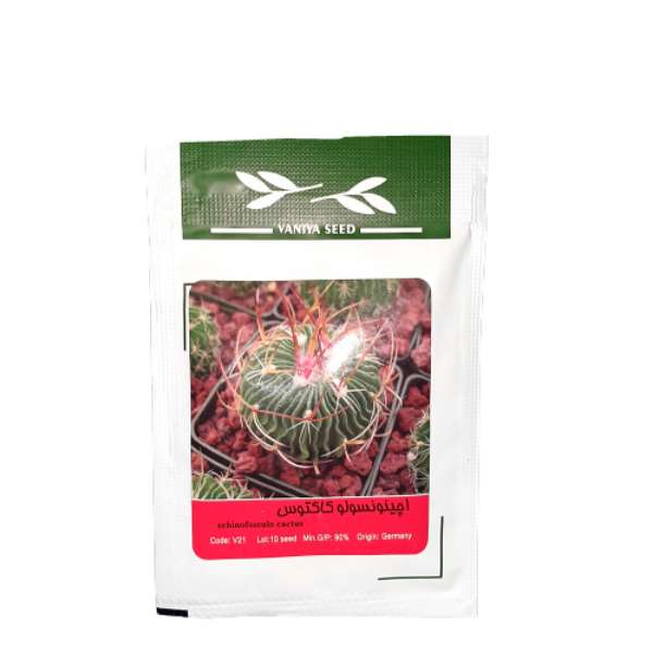 بذر کاکتوس اچینونسولو وانیا سید مدل 042