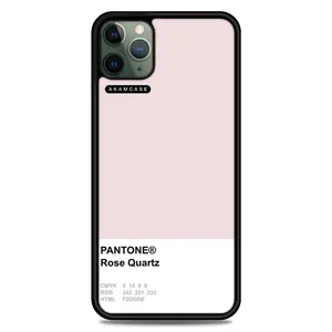 AKAM AMC-WA11PROMAX-PANTONE-27 Cover For Apple iPhone 11 Pro Max