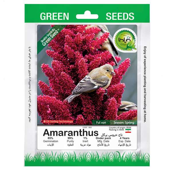 بذر گل تاج خروس پرگل گیلدا کد 800 بذر گل تاج خروس پرگل گیلدا کد 800