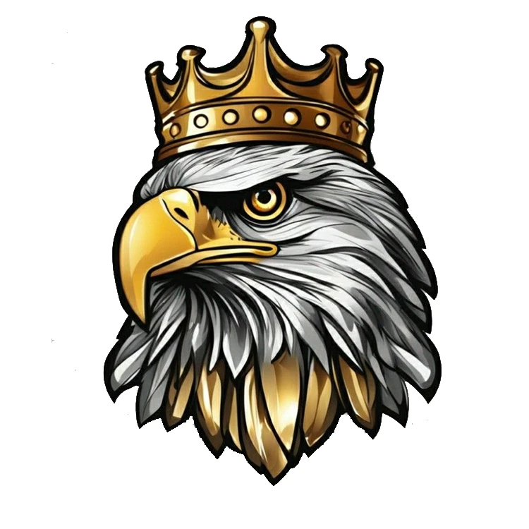 استیکر پارچه و لباس پاد آفرین مدل عقاب کد 2402