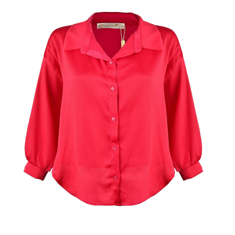 شومیز آستین بلند زنانه مدل MDSS-CH0395