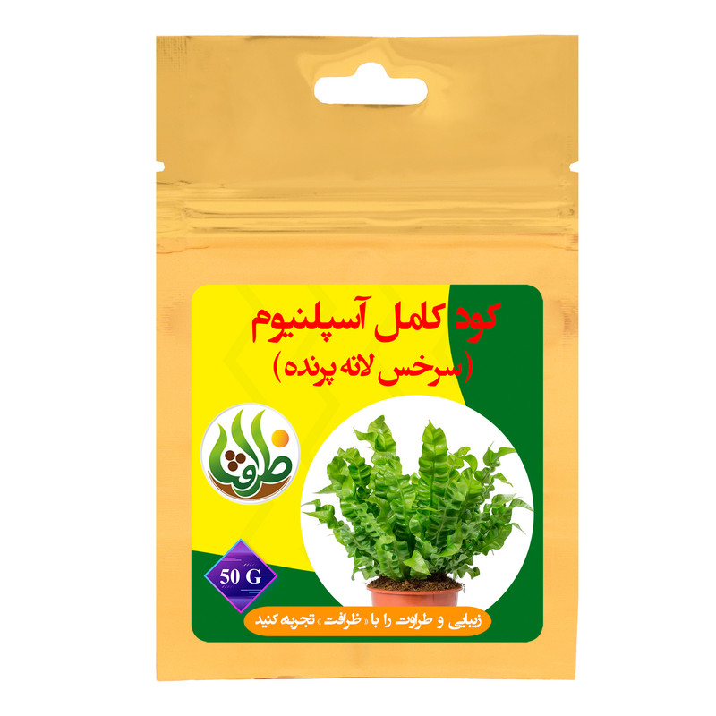 کود کامل تقویتی آسپلنیوم ظرافت مدل KO21826 وزن 50 گرم