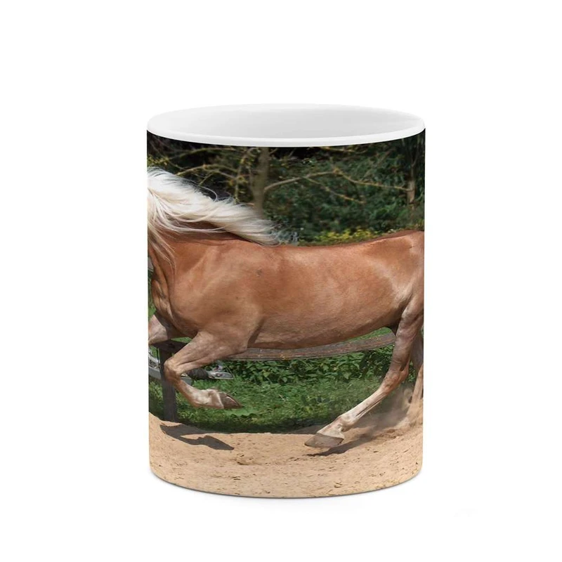 ماگ کاکتی مدل اسب کد mgh24280