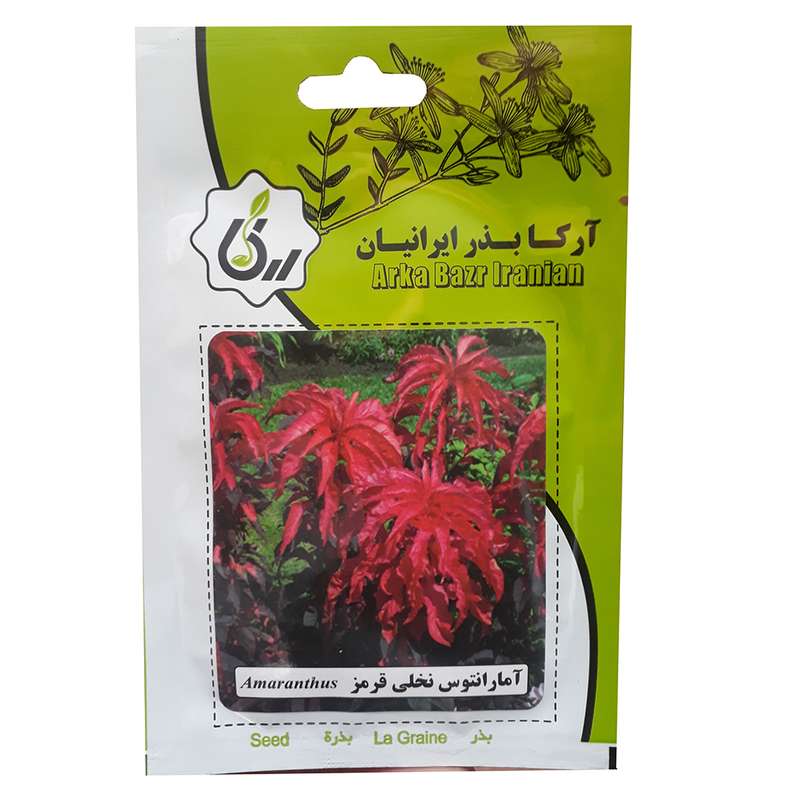 بذر آمارانتوس نخلی قرمز آرکا بذر ایرانیان کد A16