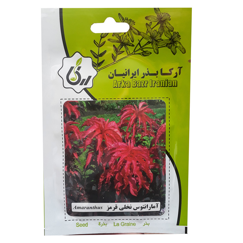 بذر آمارانتوس نخلی قرمز آرکا بذر ایرانیان کد A16