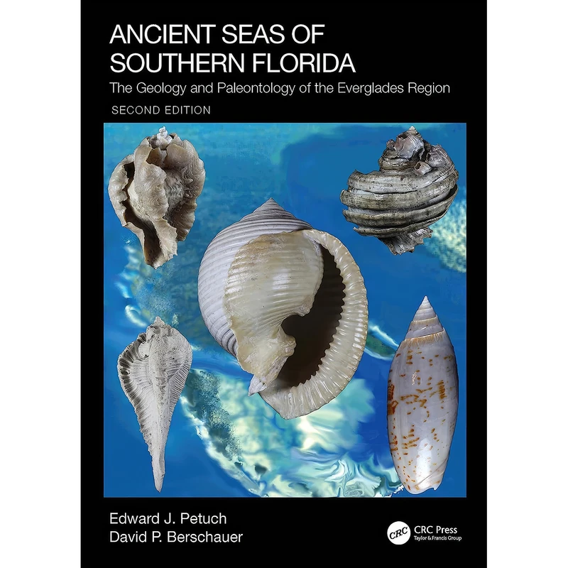 کتاب Ancient Seas of Southern Florida اثر جمعي از نويسندگان انتشارات CRC Press