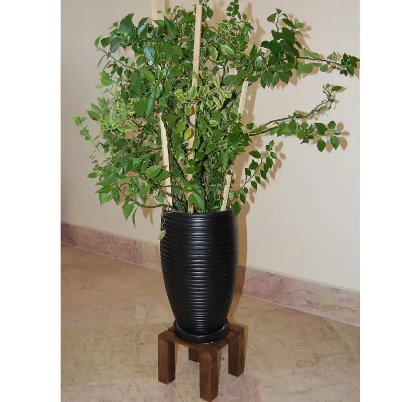 استند گلدان مدل Ramon-g3