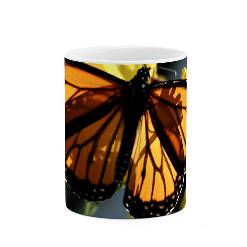 ماگ کاکتی مدل پروانه کد mgh12106