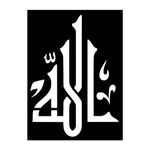 شابلون کد 0248