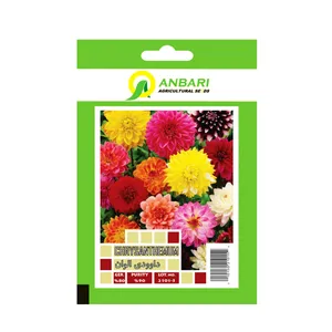 بذر گل داوودی الوان بذر عنبری کد BZA-018