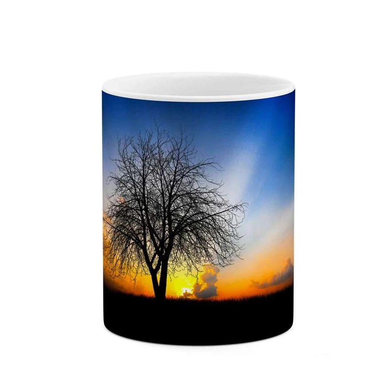 ماگ کاکتی مدل غروب کد mgh11174