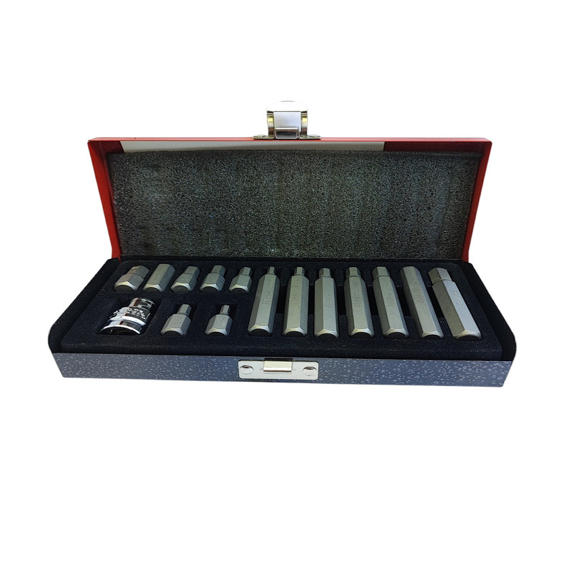 آچار بیت شش گوش رانگ سی مدل RS-15PC BITS SET مجموعه 15 عددی