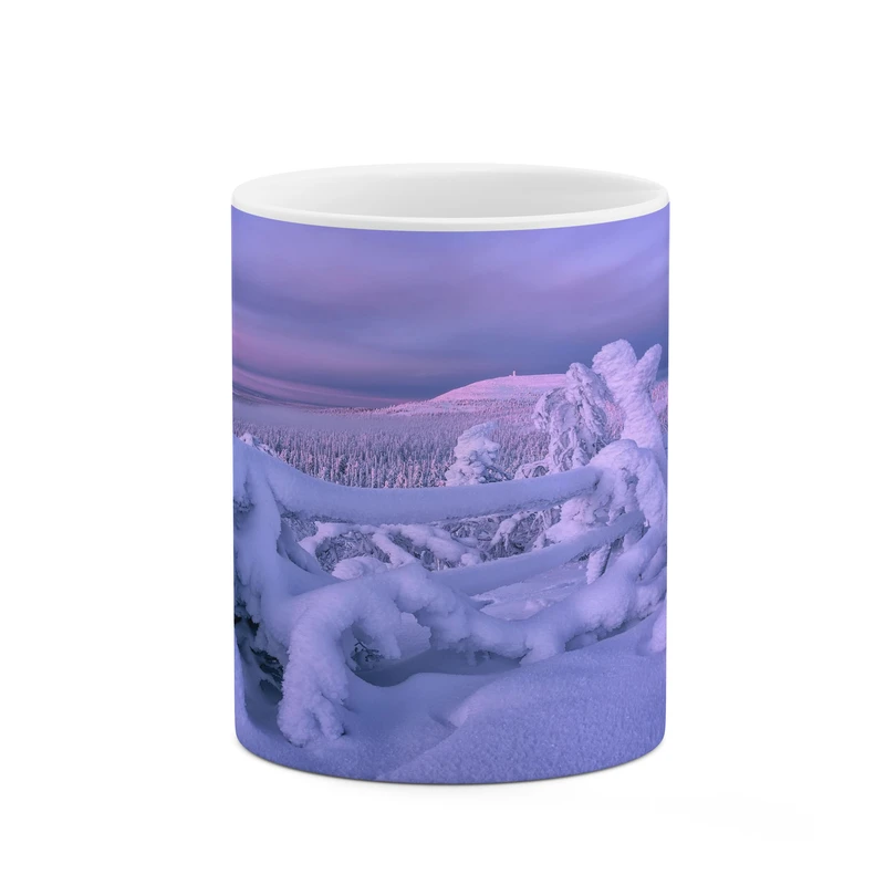 ماگ کاکتی مدل برف کد mgh17295