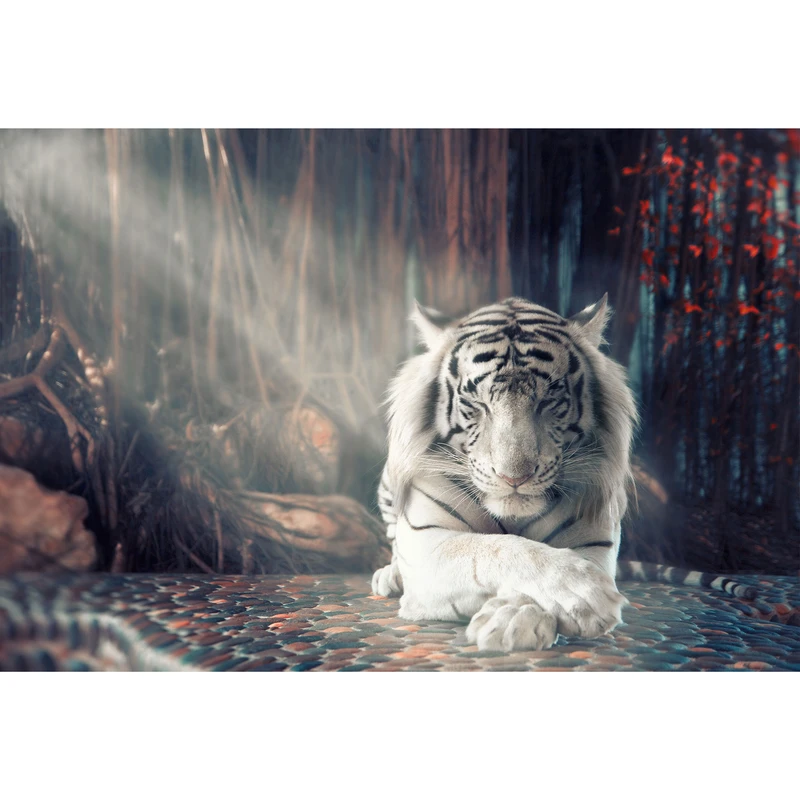 مگنت طرح ببر مدل T1722