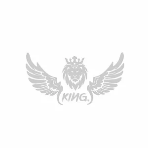 برچسب بدنه خودرو رادیانس طرح LionFly کد B35