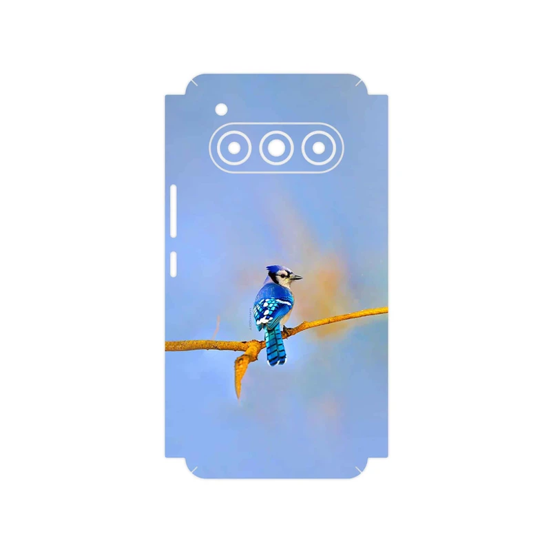 برچسب پوششی ماهوت مدل Cyanocitta cristata مناسب برای گوشی موبایل داریا Bond II Lite 5G