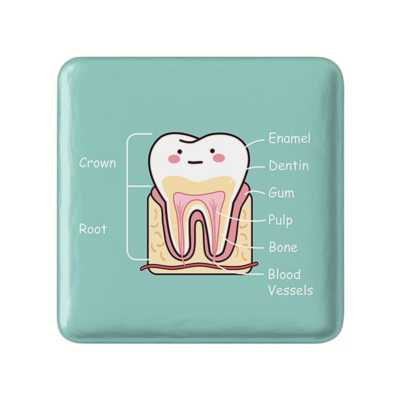 پیکسل خندالو مدل دندان و دندانپزشکی کودکانه کد 27754