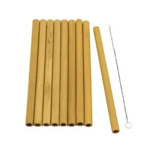 نی نوشیدنی یکبار مصرف مدل بامبو مجموعه 10 عددی همراه با نی شور