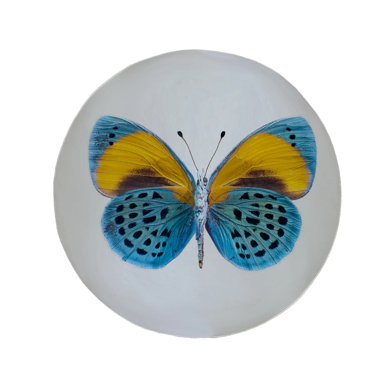 پادری مدل دایره طرح پروانه کد 9017 سایز 90 × 90 سانتی متر 