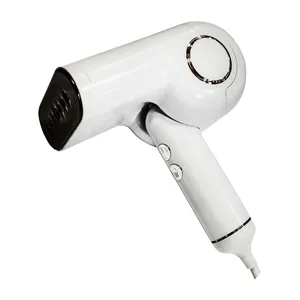 بخارگر دلمونتی مدل DL-960