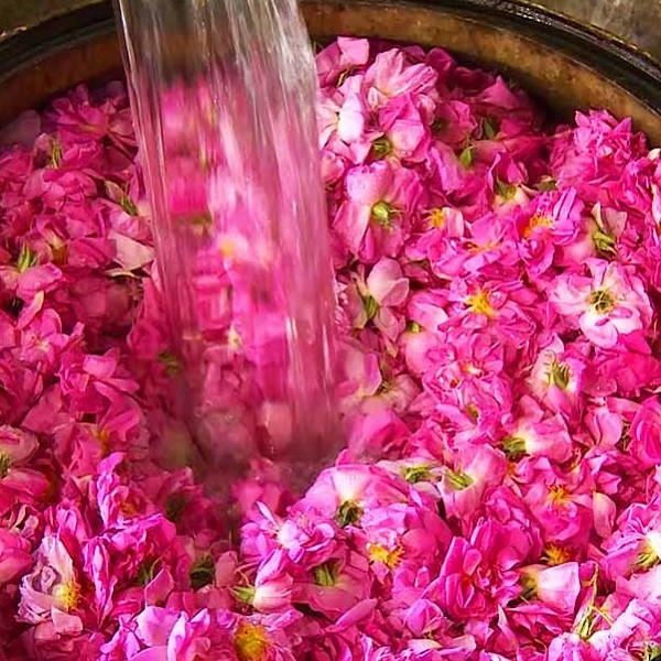 قیمت و خرید گلاب سنتی ممتاز قصر گلشهد - 1 لیتر
