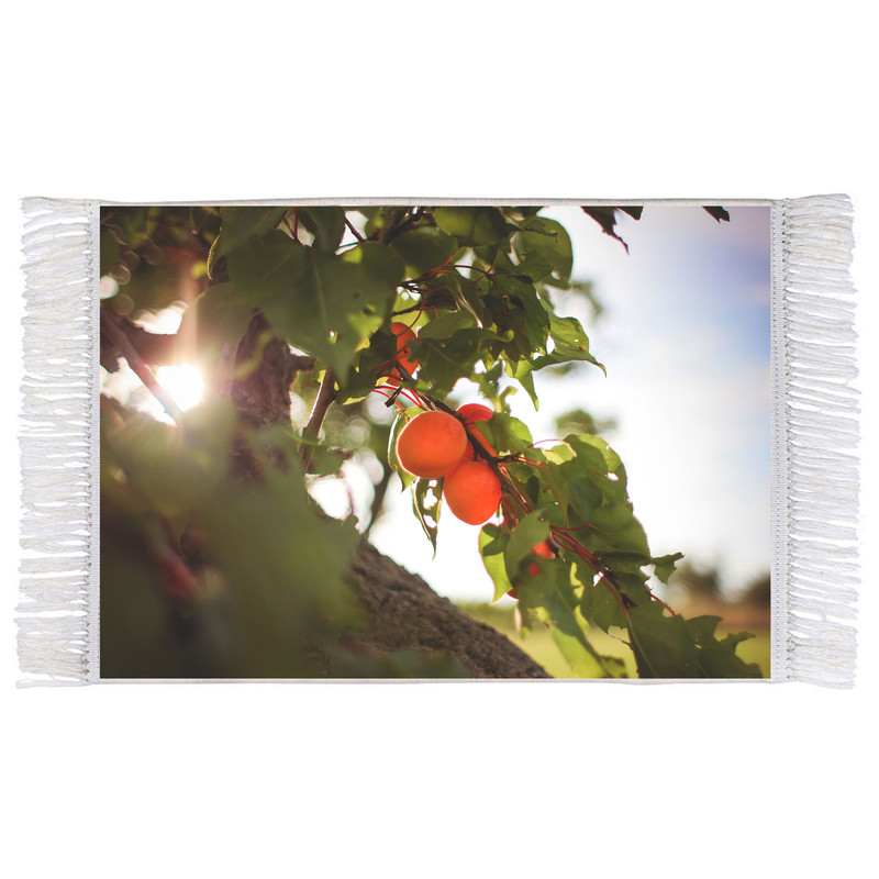 فرش ماشینی دیوارکوب اطلس آبی طرح میوه زردآلو مدل T1779