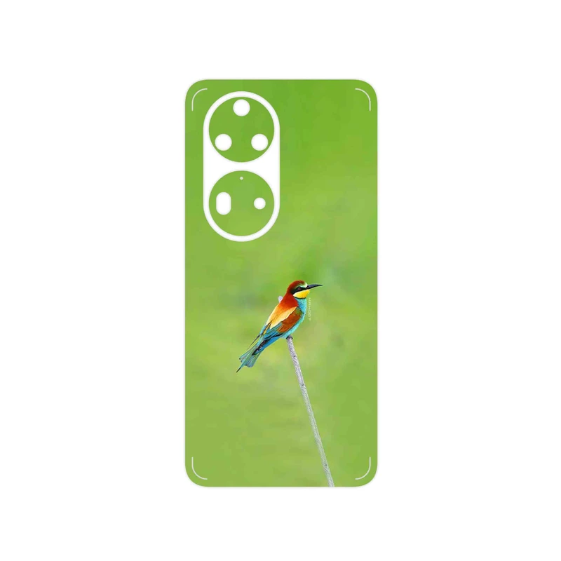 برچسب پوششی ماهوت مدل European bee-eater مناسب برای گوشی موبایل هوآوی P50 Pro