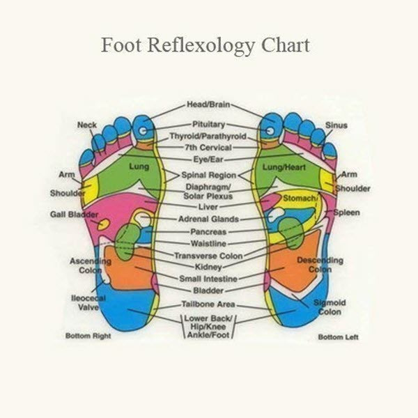 دمپایی ماساژور طبی پا مدل اسلیپر