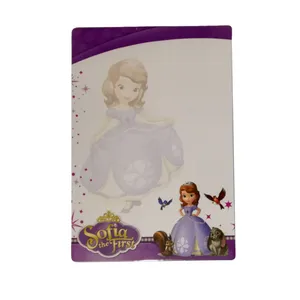 تخته وایت برد مدل سوفیا کد 66 سایز 16x24 سانتی متر