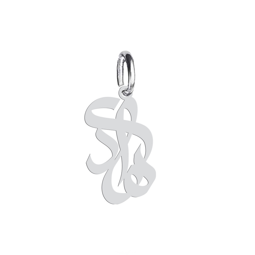 آویز گردنبند نقره هایکا طرح هادی مدل n.ha 439