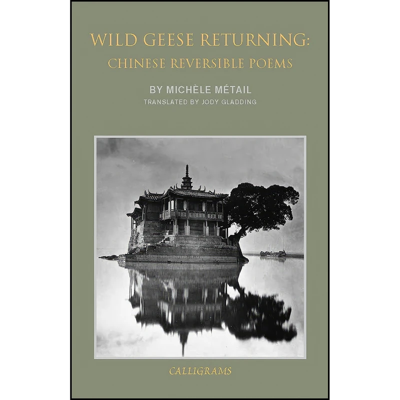 کتاب Wild Geese Returning اثر جمعي از نويسندگان انتشارات New York Review Books