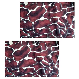 رو بالشی مدل مخمل کد A100-M مجموعه 2 عددی