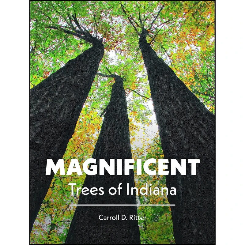 کتاب Magnificent Trees of Indiana اثر Carroll D. Ritter انتشارات Purdue University Press