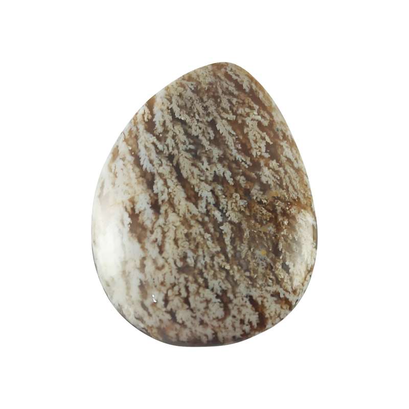سنگ شجر کد DASH01