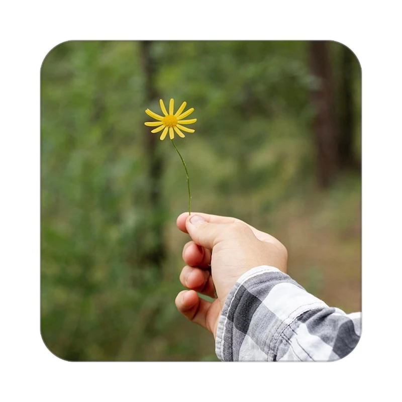 زیر لیوانی کاکتی طرح گل مدل mp18328