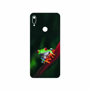 MAHOOT Frog Cover Sticker for Huawei Y6 Prime 2019