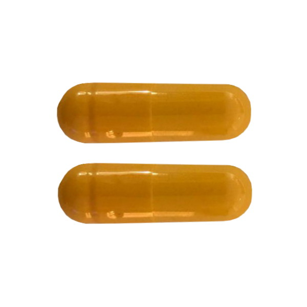 قرص ضدکلر آکواریوم مدل GH-2 بسته 2 عددی