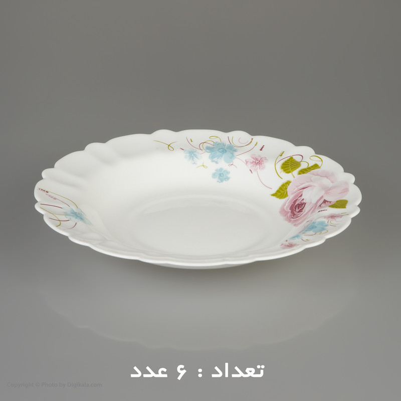 سرویس غذا خوری 25 پارچه آیروپال طرح کنگره مدل پیکو