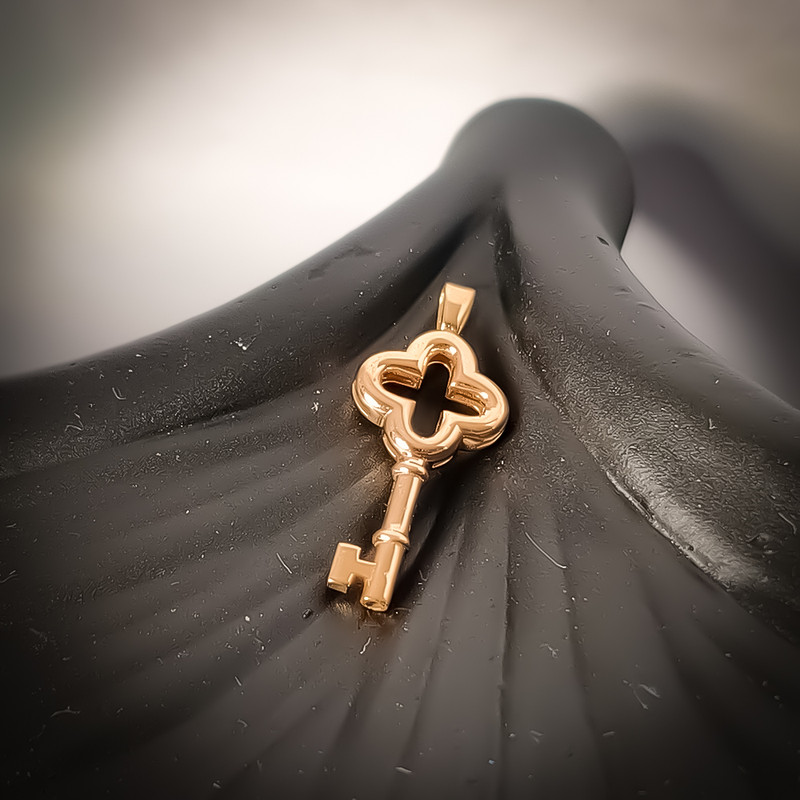 آویز گردنبند طلا 18 عیار زنانه ناریا طرح کلید کد 104