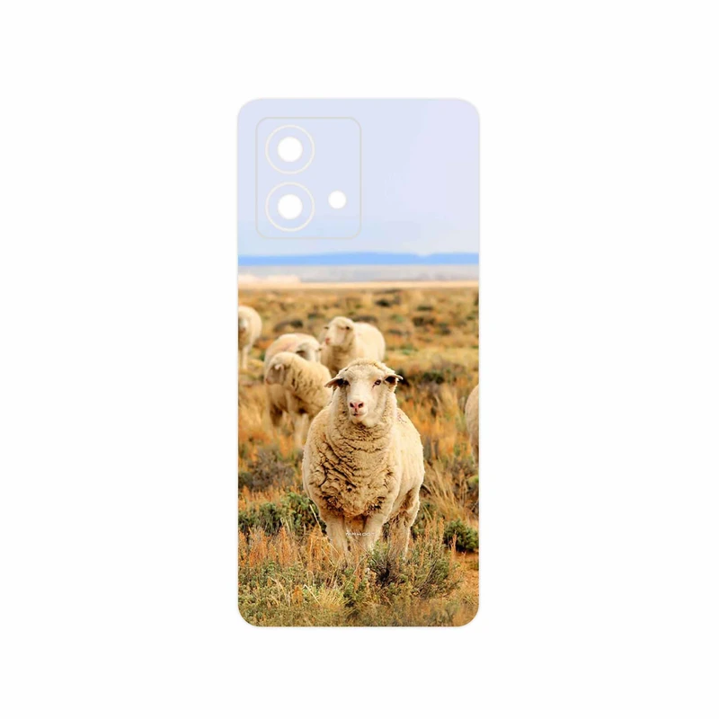 برچسب پوششی ماهوت مدل Sheep مناسب برای گوشی موبایل موتورولا Moto G84