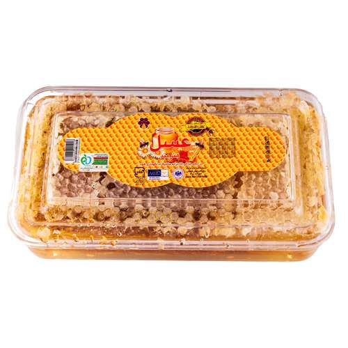 عسل طبیعی هنرمند - 500 گرم