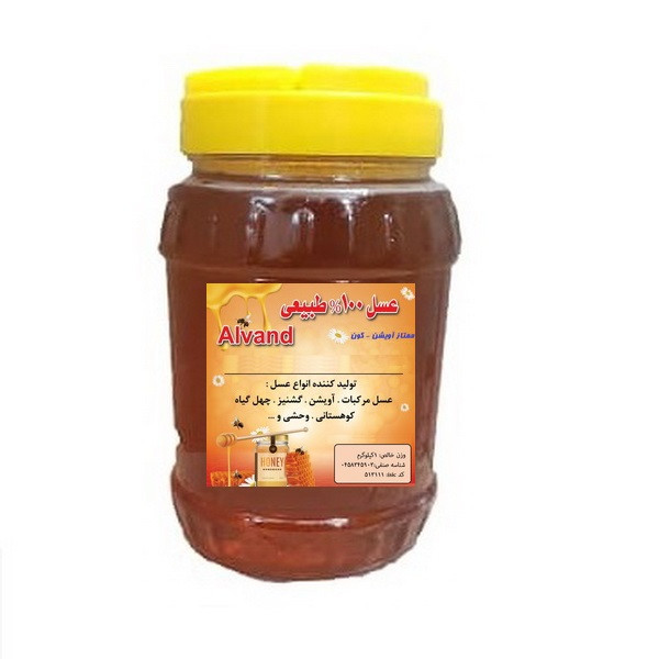 عسل ممتاز آویشن و گون الوند - 1000 گرم