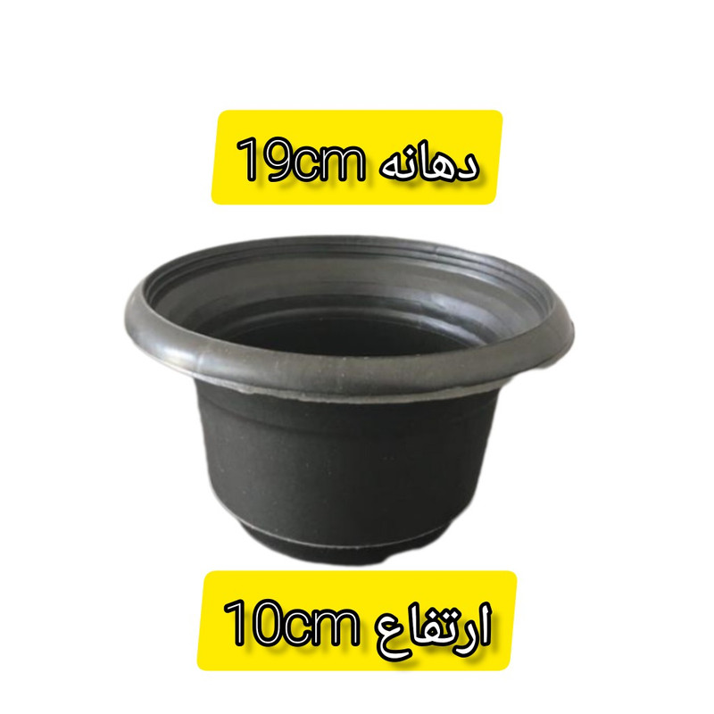 گلدان مدل آویز بسته 6 عددی گلدان مدل آویز بسته 6 عددی