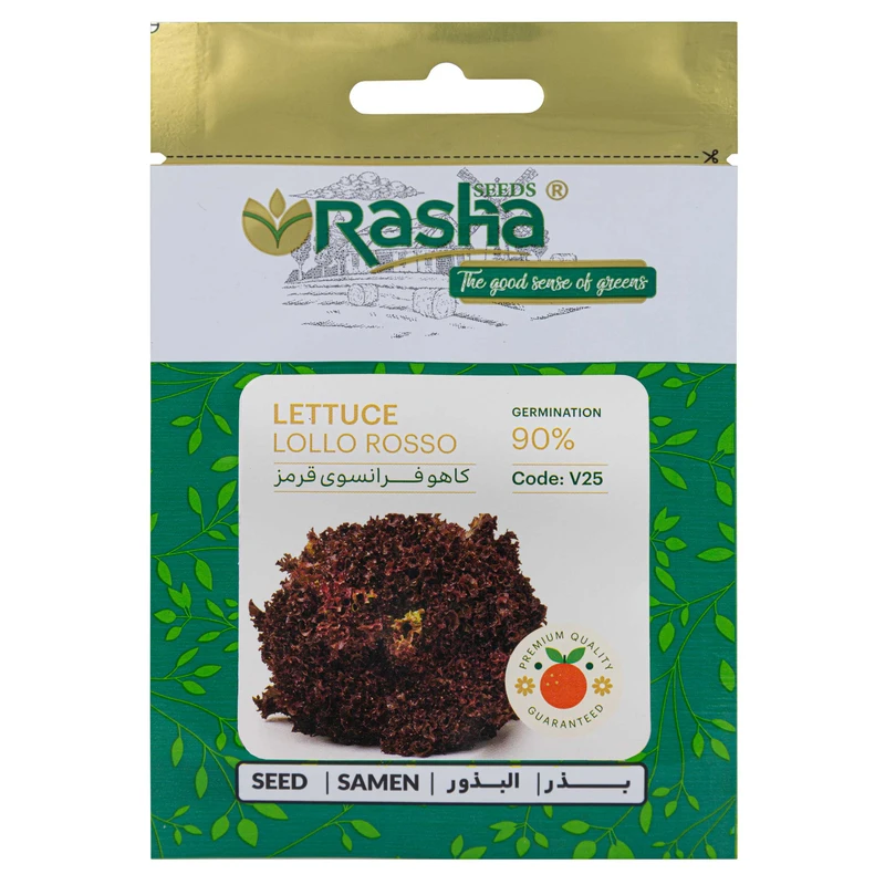 بذر کاهو فرانسوی قرمز راشا مدل V25-25