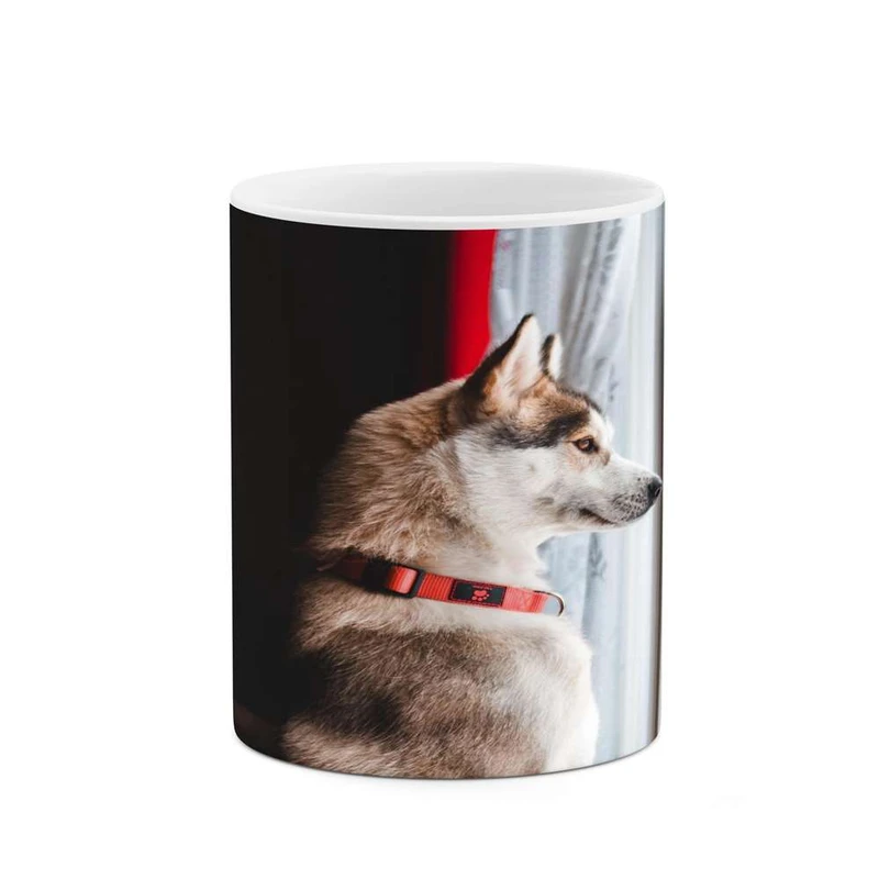 ماگ کاکتی مدل سگ کد mgh16551