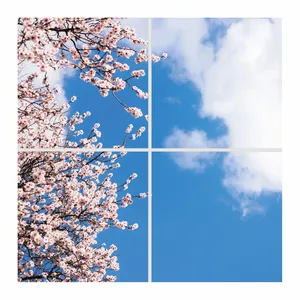تایل سقفی آسمان مجازی مدل SK-416 سایز 60x60 سانتیمتر مجموعه 4 عددی