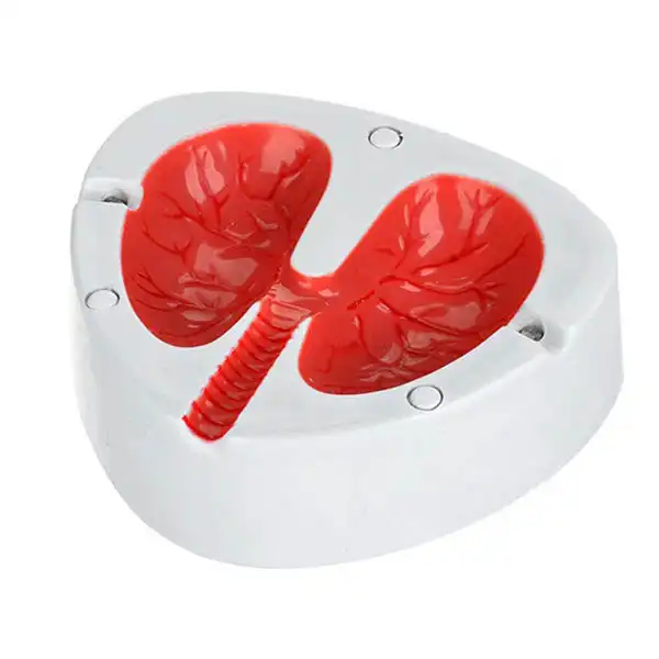 زیرسیگاری مدل ریه کد 200