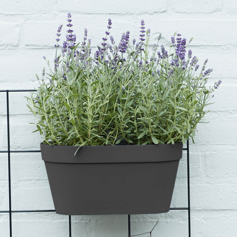 گلدان مدل GRW29بسته سه عددی گلدان مدل GRW29بسته سه عددی